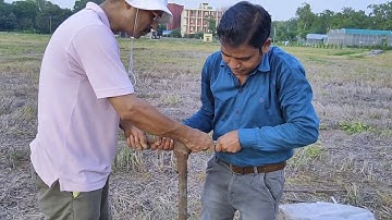 Bulk density sampling