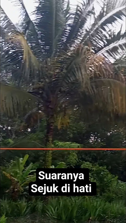 Lantunan ayat suci Alquran yang sangat merdu dan indah