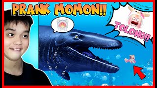 ATUN BERUBAH MENJADI IKAN BESAR DAN PRANK MOMON !! Feat @sapipurba Roblox