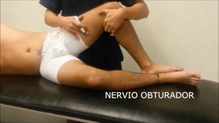 Del síntomas nervio obturador de lesión
