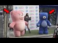 Prank look what she did giant pink  blue bear statue prank