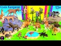 Zoo Animals - Kangaroo, Koala, Wombat, Marsupial Lion, Tasmanian Tiger, 13+