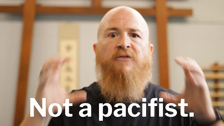 Christopher Hein Not a pacifist