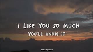I Like You So Much, You’ll Know It - Ysabelle Cuevas (Lyrics)