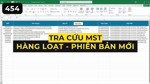File Excel - Tra cứu thông tin doanh nghiệp hàng loạt từ Mã số thuế (MST) v454