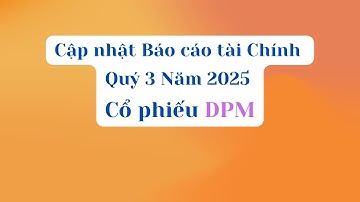 Cập nhật Báo cáo tài chính Quý 3 Năm 2025 của cổ phiếu DPM - Đạm Phú Mỹ