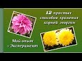 12 простых способов хранения корней георгин 🌸 Мой опыт + Эксперимент