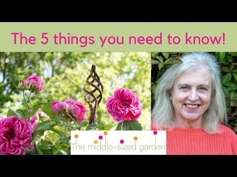 Video: Choosing Vines For Vertical Garden Decoration