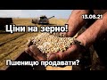 Продавати зерно чи тримати? Ціни на зерно почали рости. Аналітика цін 13.08.21