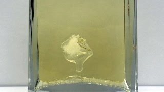 Ice Cube Experiment