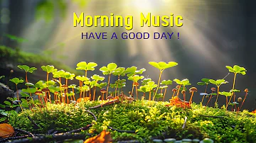 BEAUTIFUL MORNING MUSIC - Positive Songs That Makes You Feel Alive - Calm Morning Meditation Music