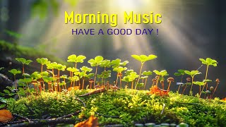 BEAUTIFUL MORNING MUSIC  Positive Songs That Makes You Feel Alive  Calm Morning Meditation Music