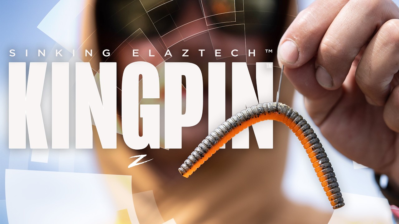 The Kingpin: Elevating The Stickworm With Sinking ElaZtech