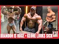 Brandon Curry Looks Massive + Keone Pearson Can Win The Mr O? + More!