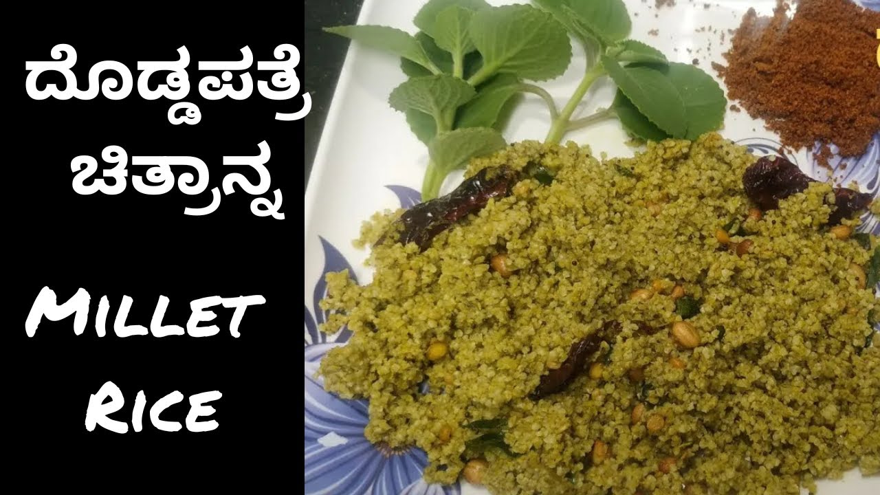 Doddapatre soppina chitranna