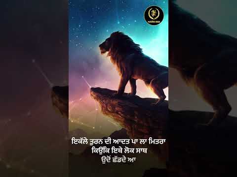 Punjabi WhatsApp Status Video | Punjabi Motivational Quotes Instagram | Punjabi Shayari #shorts