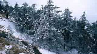 Download Lagu Afară ninge liniştit MP3