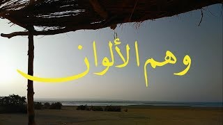 وهم الألوان - الفيزياء وراء كل ما نراه ملون