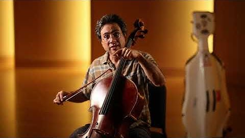 The Vibrating String