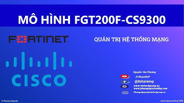 Cấu hình Trunking Vlan LACP Cisco CS9300 to Fortigate 200F v7.0.5 |Config Trunk Vlan CS9300 to FTG