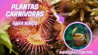 PLANTAS CARNÍVORAS🌱🐜 | PARA NIÑOS by Aventuras con Pipo 168 views 1 month ago 3 minutes, 13 seconds