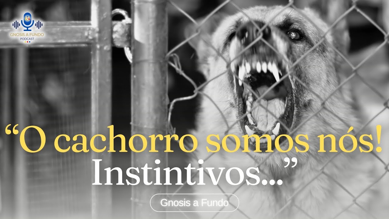 Deus é um Professor Rígido! | Gnosis a Fundo Podcast