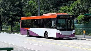 (Logoless That Will Transferred To Go Ahead) SBS8199J On Service 117 At Yishun Avenue 1 (Logoless That Will Transferred To Go Ahead) SBS8199J On Service 117 At Yishun Avenue 1