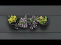 Vertical wall garden 6020289