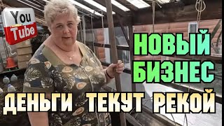 Ольга Уралочка live /Новый бизнес /Деньги текут рекой /Обзор Влогов /Уралочка и Сафар