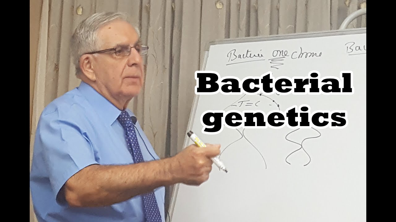 Bacterial genetics - الوراثة البكتيرية