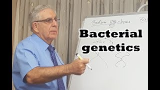 Bacterial genetics - الوراثة البكتيرية