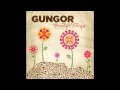 Gungor - 