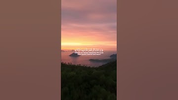 🌼 المال والبنون زينة الحياة الدنيا | سورة الكهف | محمد الفقيه | قرآن كريم