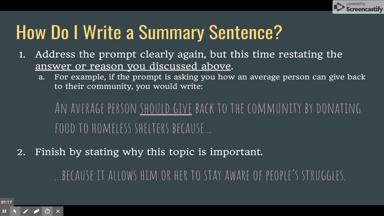 essay summary sentence