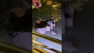 Molded By Chaos #shorts