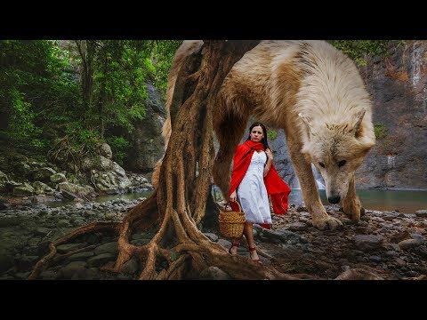 Big Wolf Photoshop Manipulation Tutorial Landspace