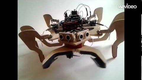 Project Hexapod