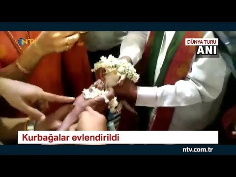 Video: Kurbağa Yüzyıldan Sonra Hindistan'da Yeniden Ortaya Çıktı