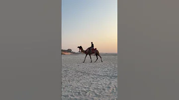 Ek Number Tujhi Kambar 