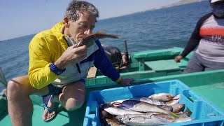 Pescando CABRILLAS y cocinando en ALTAMAR