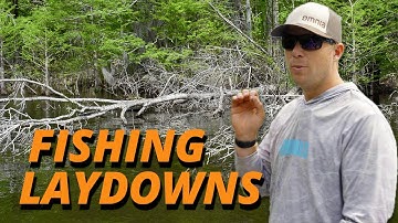 How Bass Set Up on Laydowns with Patrick Walters