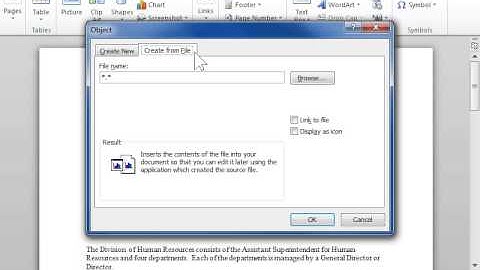 Insert a Movie into a Word Document - Word 2010
