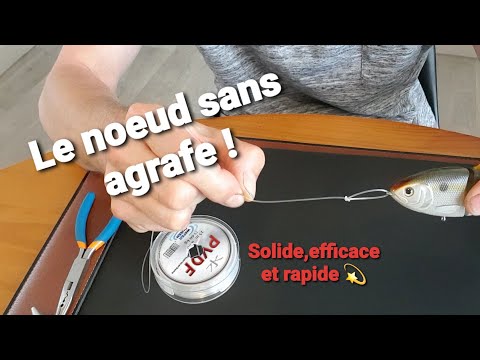 Vidéo: Comment Faire Un Leurre Pour Un Renard