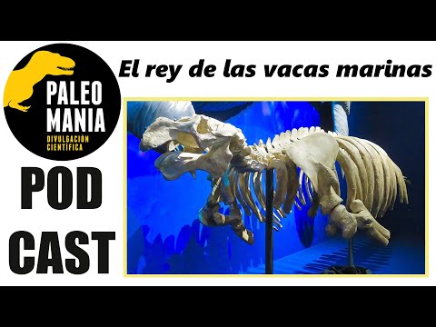 Video: Vaca de Steller: una especie extinta del escuadrón de sirenas