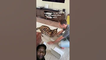 Paka Picha 3 