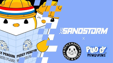 Pudgy Penguins And Sappy Seals NFT Projects - Sandstorm Interview in The Sandbox