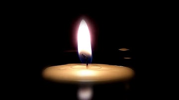 ASMR Whisper Visualization: Twilight Forest