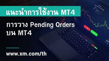 XM.COM - แนะนำการใช้งาน MT4 - การวาง Pending Orders บน MT4