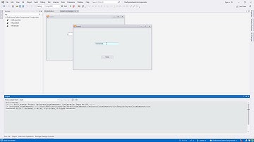 3) C# DevExpress Custom Components (TextEdit)