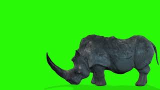 Rhino Green Screen Effect